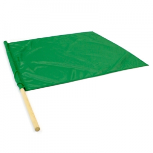 Flagge grün 80x80cm